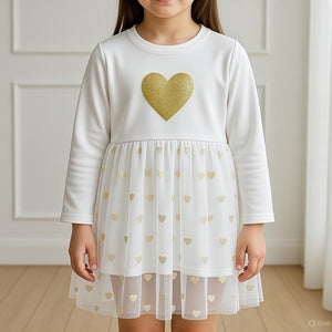 Heart printed mesh cotton full sleeve frock for girls