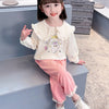 Girls clothing printed casual sweater with trouser dress for girls